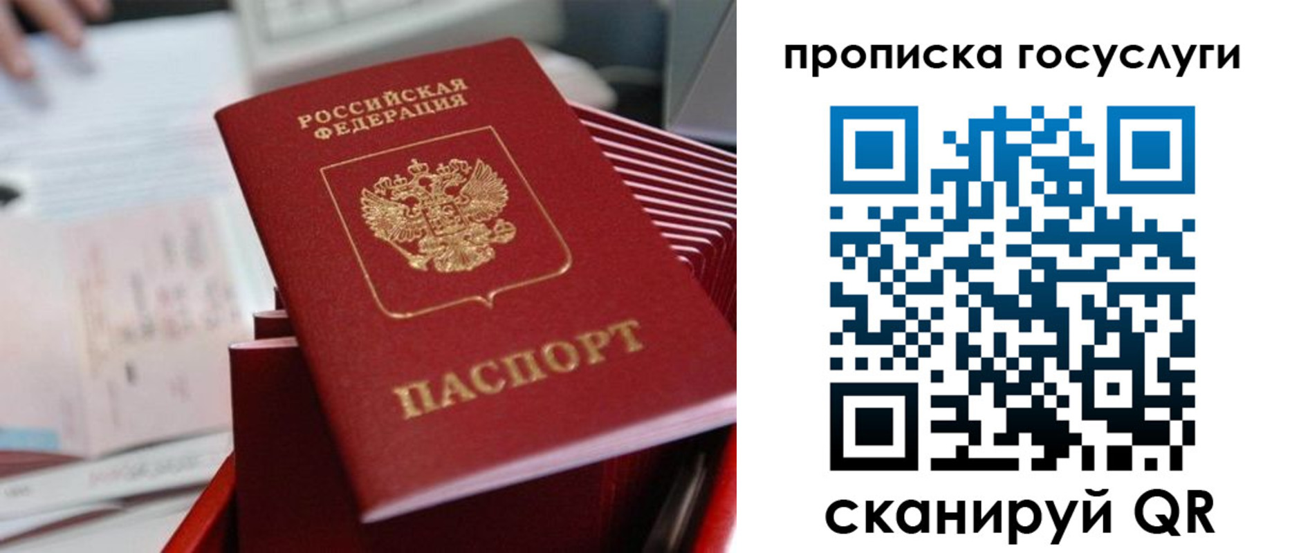 прописка законно в Боброве